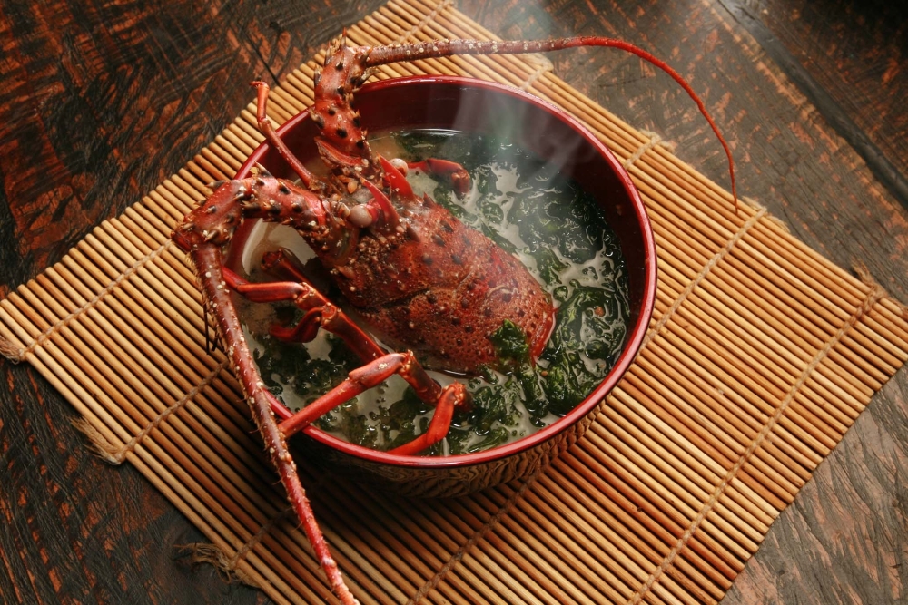 SpinyLobster