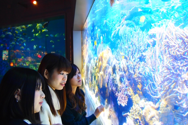 Toba Aquarium